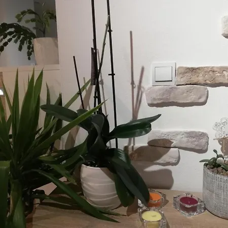 Galeria Stastie *
