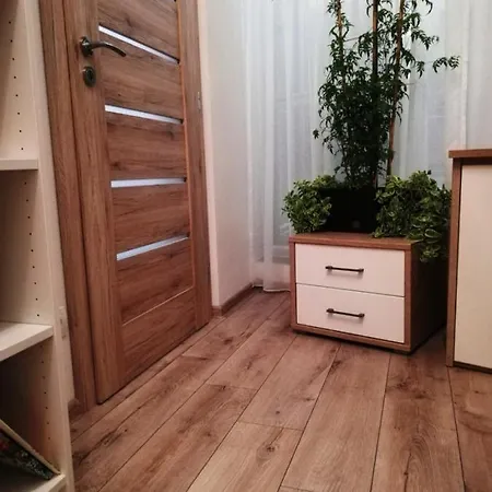 Galeria Stastie *